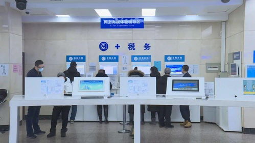黑龍江省全面上線增值稅電子專用發票，為信息咨詢服務行業注入數字化新動能